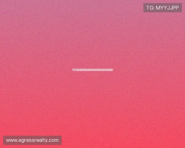 K8凯发登录下载支持多平台,随时随地畅享精彩游戏内容