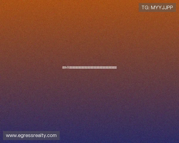 觊发k8旗舰厅登录安全稳定的登录指南帮助玩家顺利进入游戏体验最佳娱乐效果