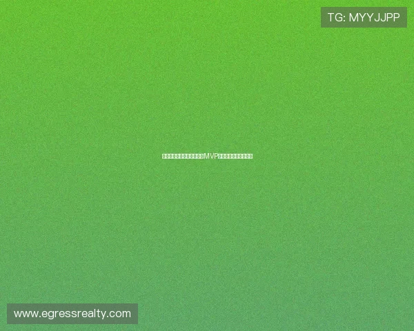 海地对阵苏格兰比赛中谁是MVP引领球队表现最佳分析